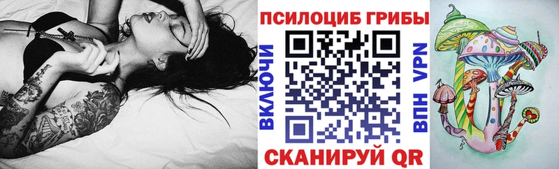 где продают   Звенигово  Псилоцибиновые грибы мухоморы 